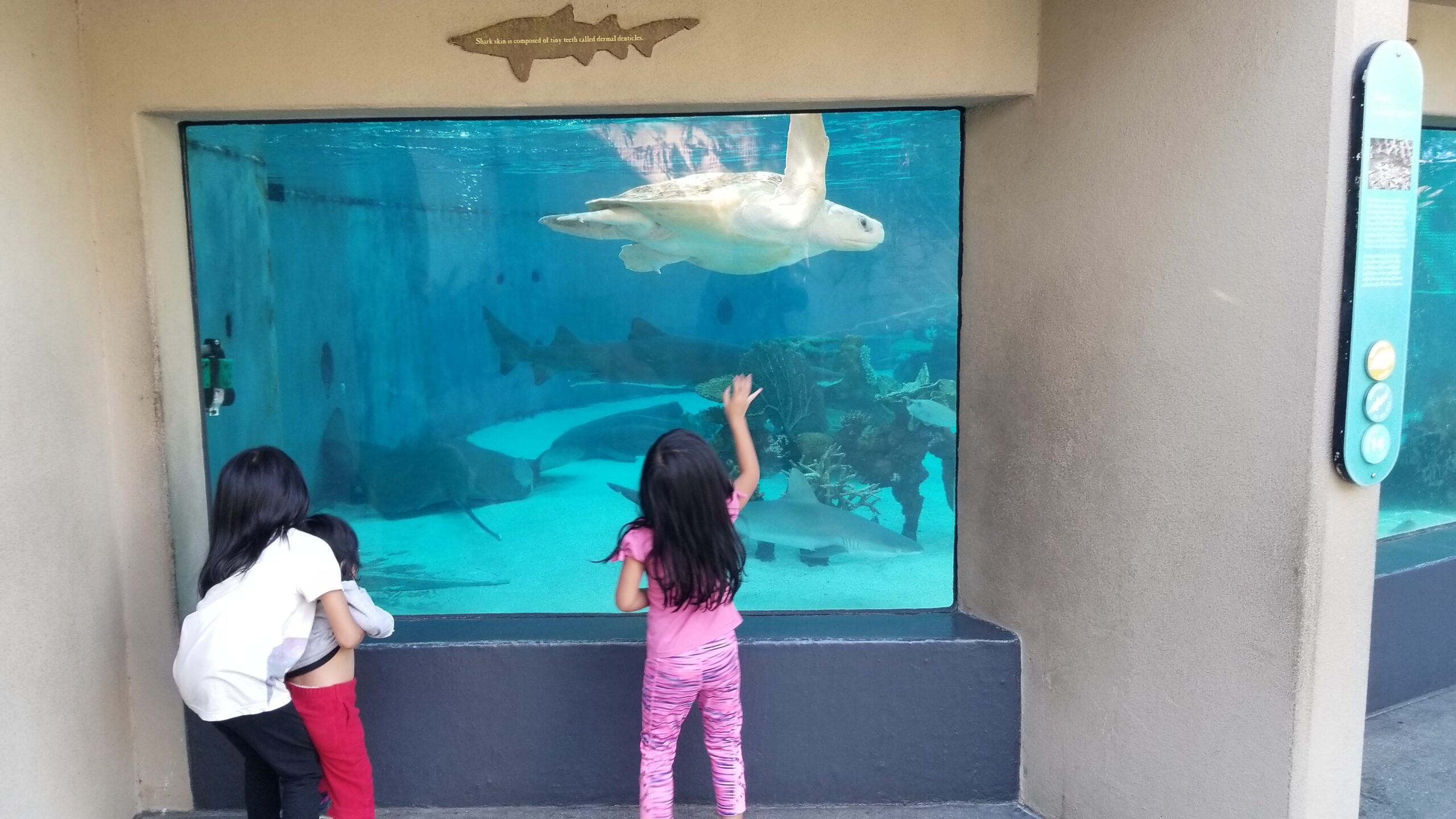 Aquarium of the Pacific